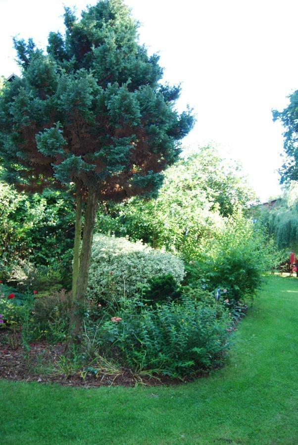 Ferienwohnung Aronia Warlow Exterior photo